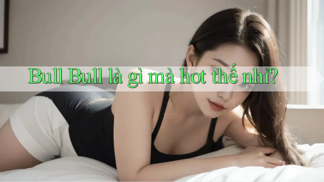 Bull Bull là gì mà hot thế nhỉ?
